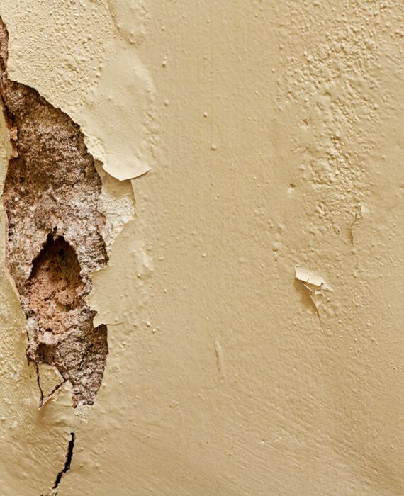 rf23044108_stocksolutions130900046